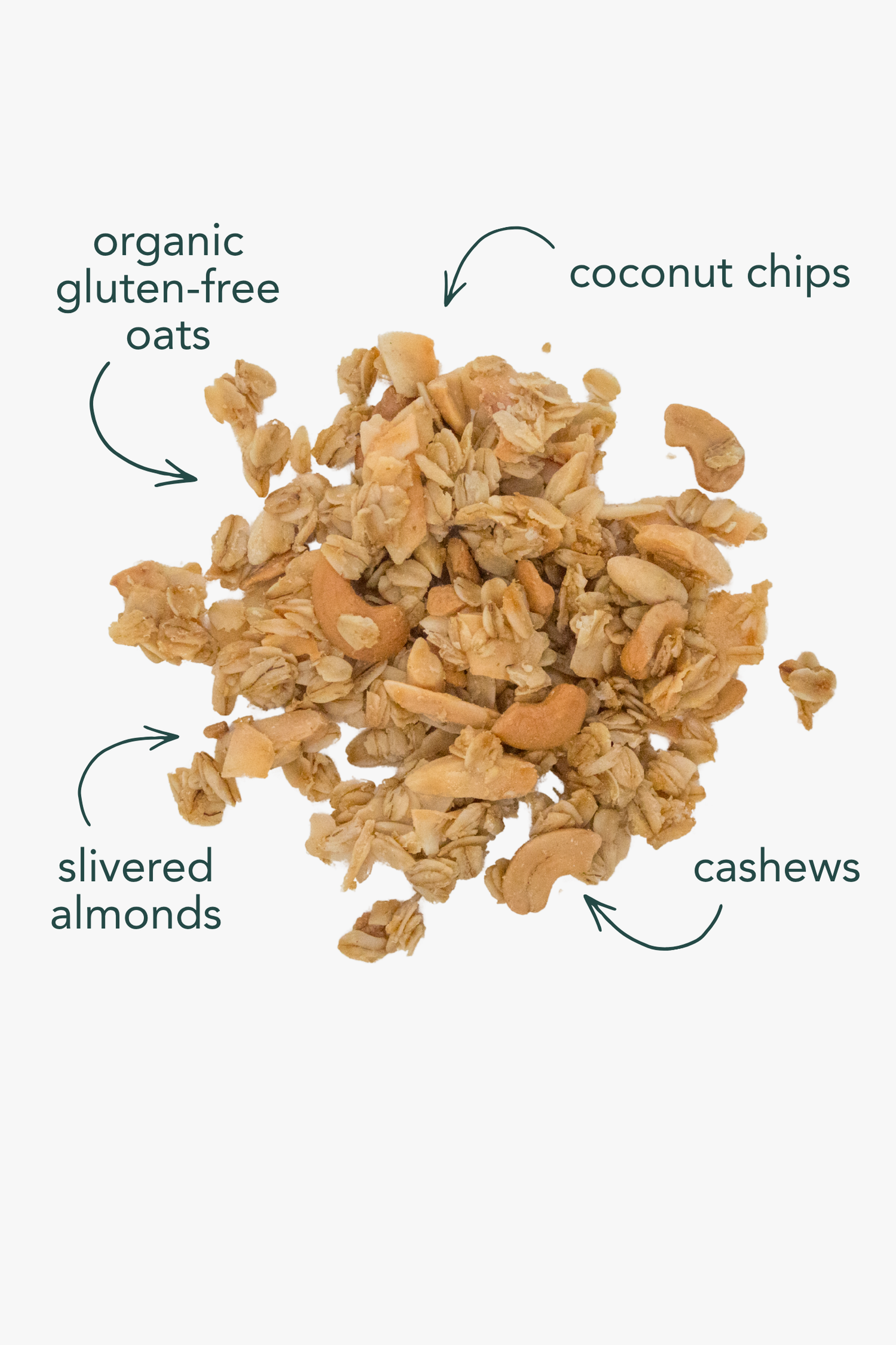 Coconut Cashew